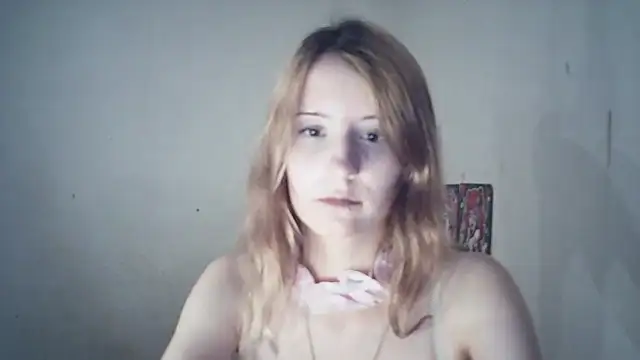 SinaPalmeter webcam