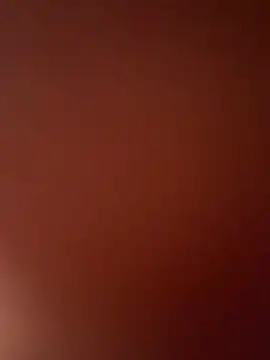 Sophia_turneer webcam