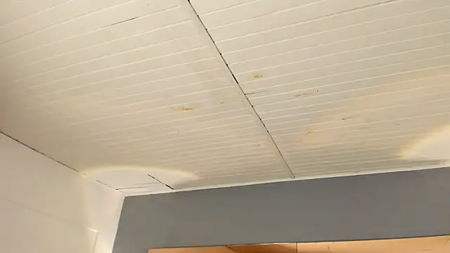 BellaBoobs_ webcam