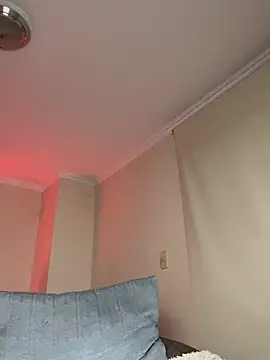 Samispank webcam