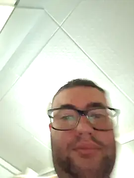 Javier_bear webcam