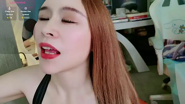 HU131452 webcam
