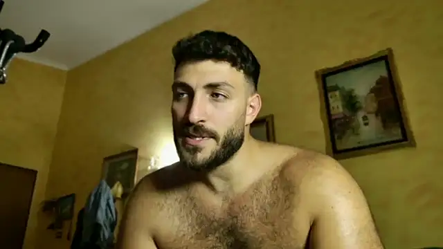 mark_ariete webcam