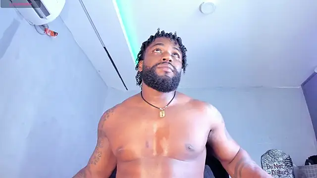 Dancelwashington webcam