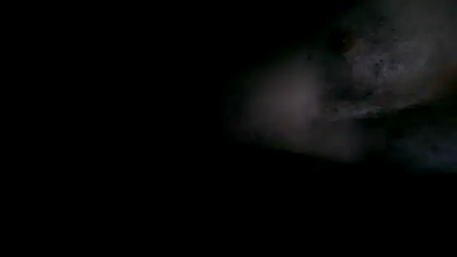 fntbzh56 webcam
