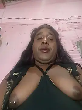 Modelo: Hellentrans24