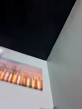 Painstickwes webcam