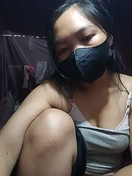 Hiha-nn webcam