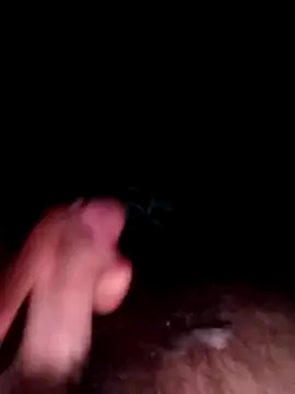 VAMOUS_ webcam