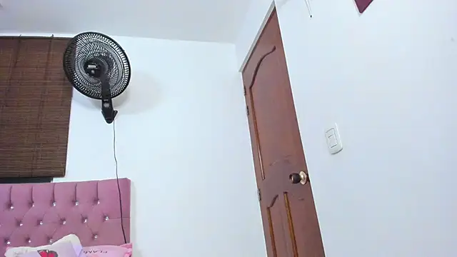 Ronnetemalbec webcam