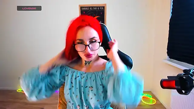 your_tora webcam