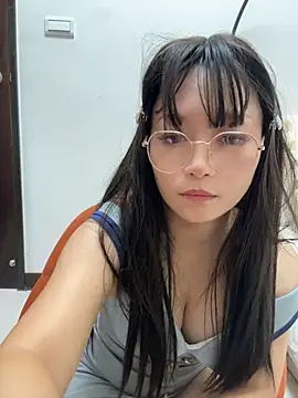 wt0314 webcam