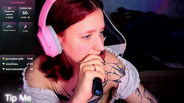 Mini_Lady1 webcam