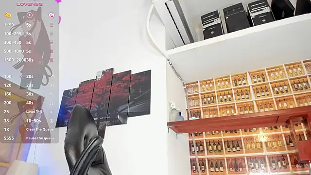 _Shirley_ webcam