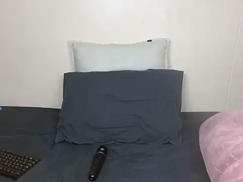 ReloadingX webcam