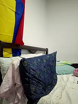 IrisBound webcam
