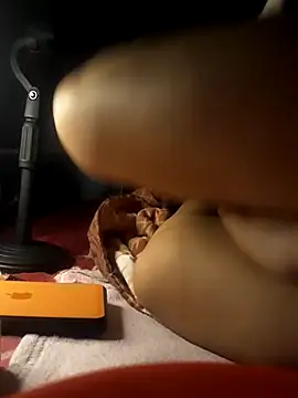 -Tara-a webcam