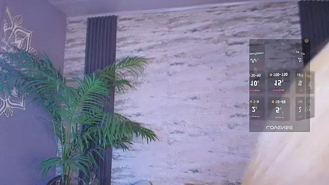 sakuramoss webcam