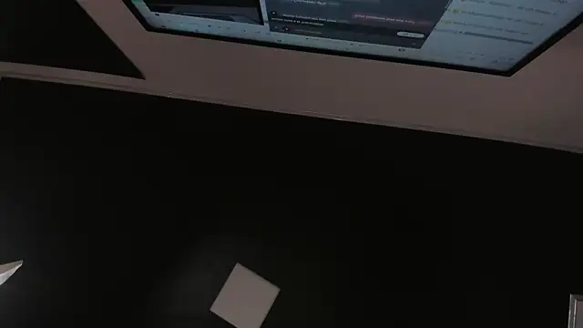 Zoee_js webcam