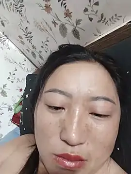 zhen-zo webcam