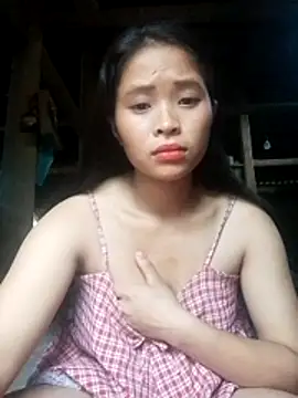 Liss-mimi webcam