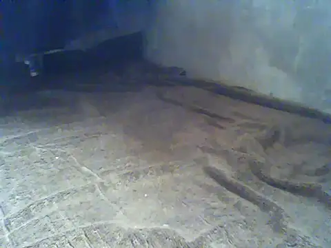 hairypussyyummy webcam