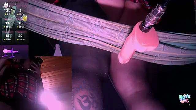 Nicolle_waterfalls webcam