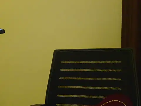 Bold-ladlo webcam