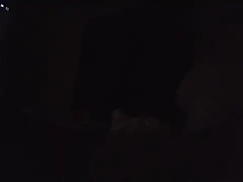 Nidge251 webcam