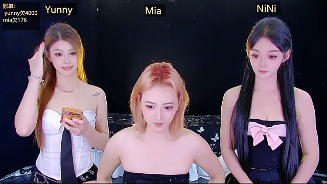 MiNi-U webcam