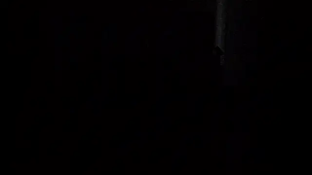 Heidix webcam