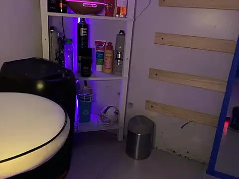 hpcouplee420 webcam