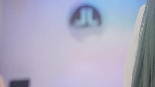 Sw-001 webcam