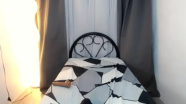 HeartOfAsia- webcam