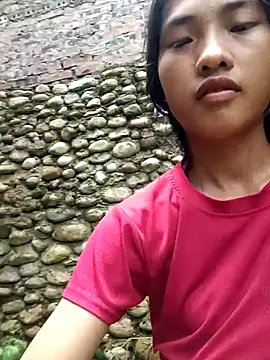 Hoa-tuylip