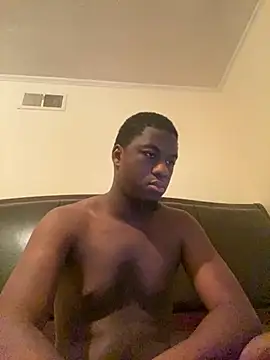 ThickDic28 webcam