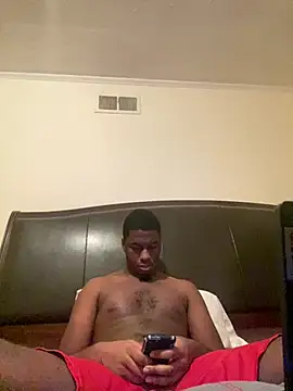 ThickDic28 webcam