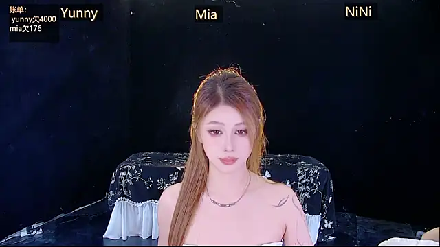 MiNi-U webcam