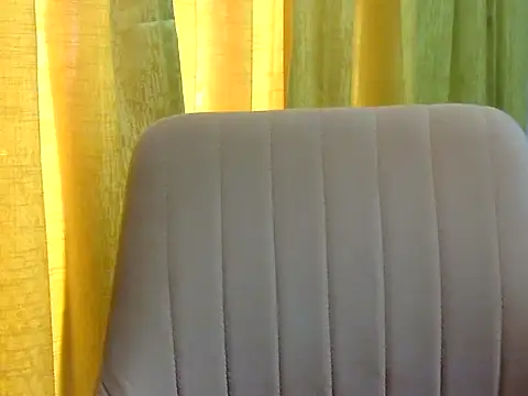 YOUR__ALLY webcam