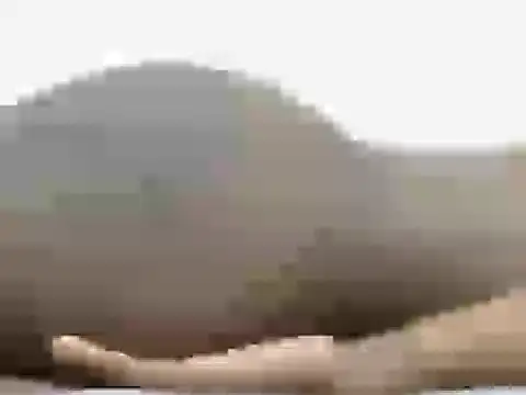 B-B-C-8 webcam