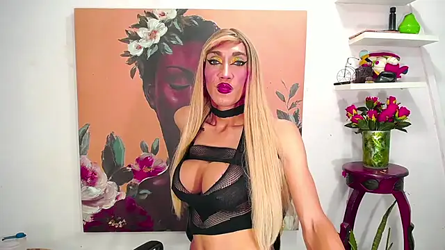 karlaveckyts webcam