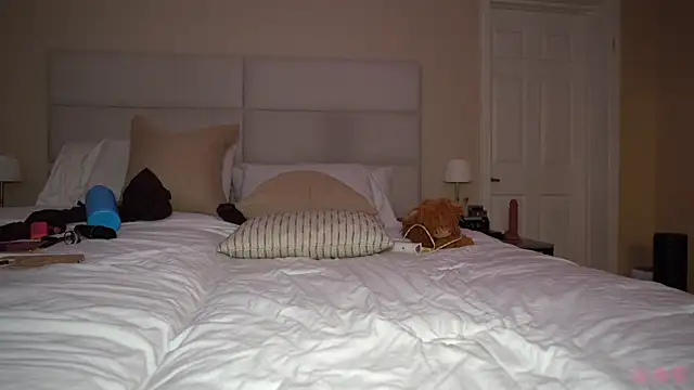 baedot webcam