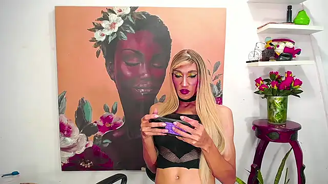 karlaveckyts webcam