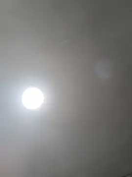 Daniela-rosee webcam