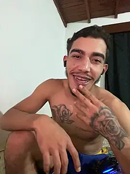 Dominant_kiing webcam