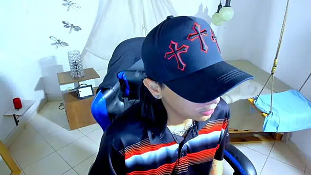 Brand_habes webcam