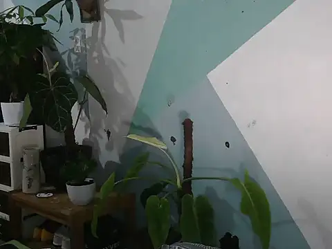 Darkevion webcam