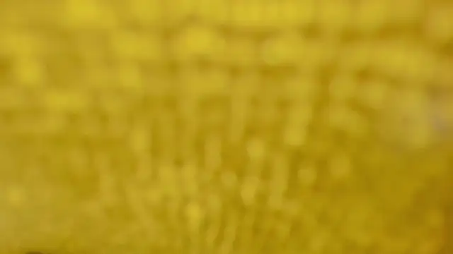 celeste_hatman webcam