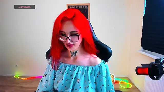 your_tora webcam