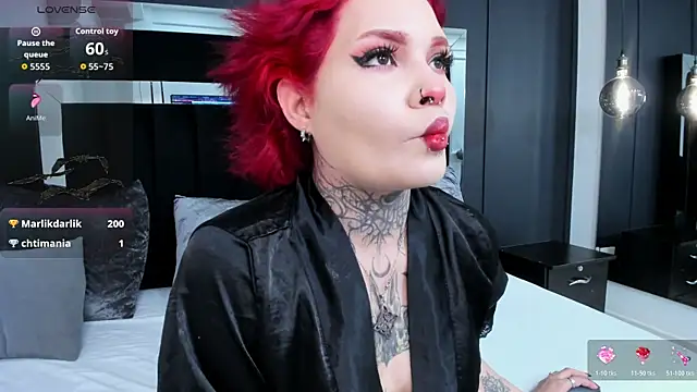 jinxv_nuss webcam